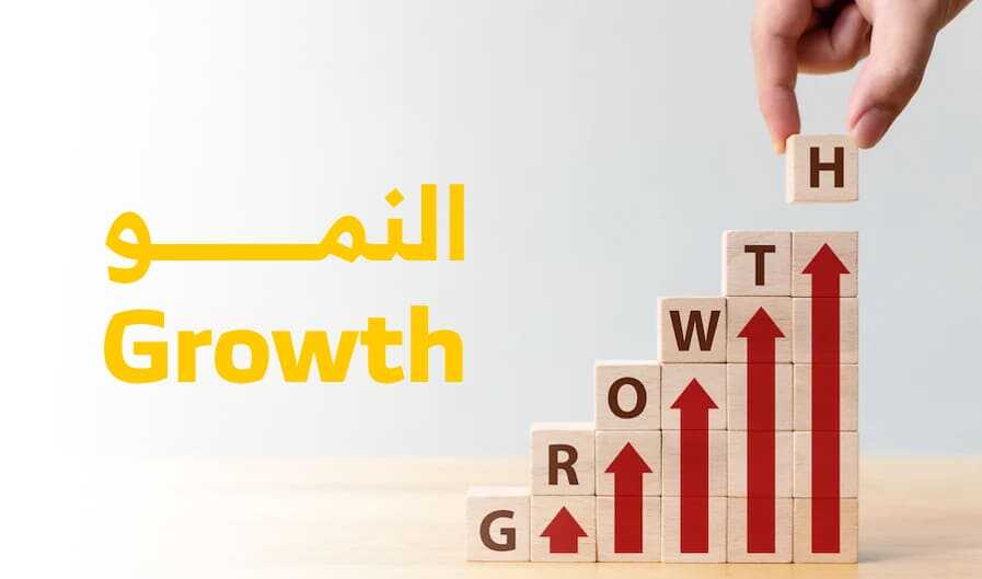 كيف تحقق نمو حقيقي ومستدام لخدمتك أو بزنسك